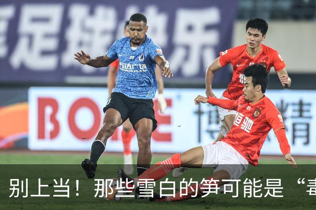 别上当！那些雪白的笋可能是“毒笋”！